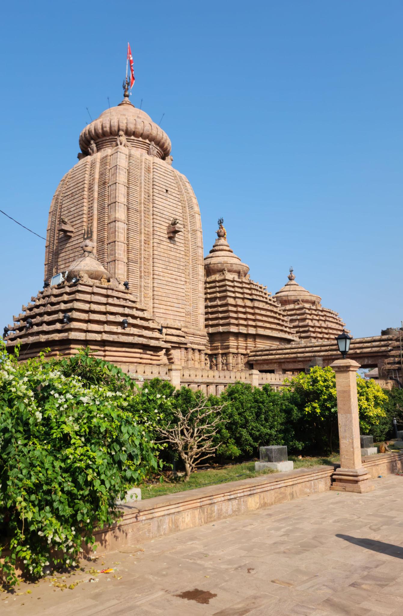 Maa Tara Tarini Temple